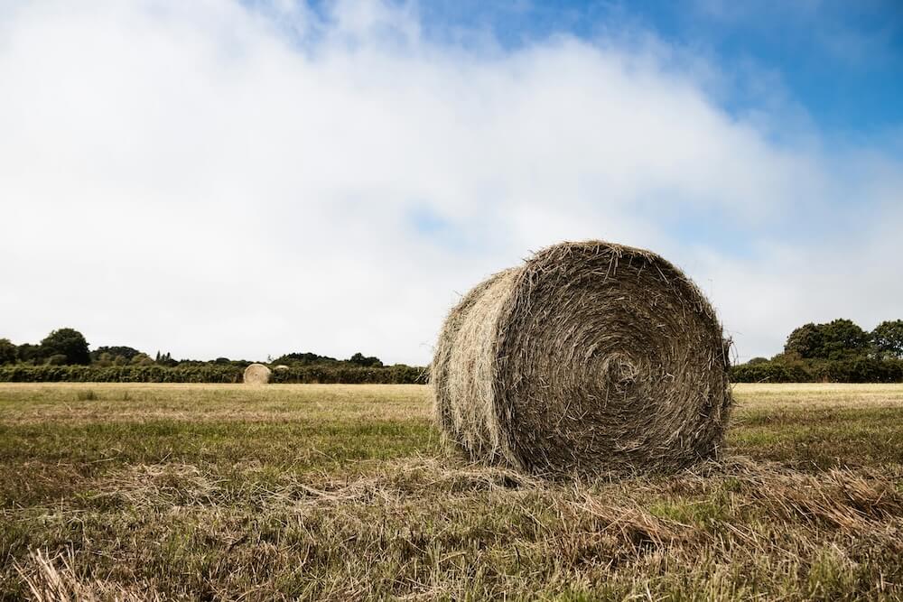 How to spot a needle in a haystack